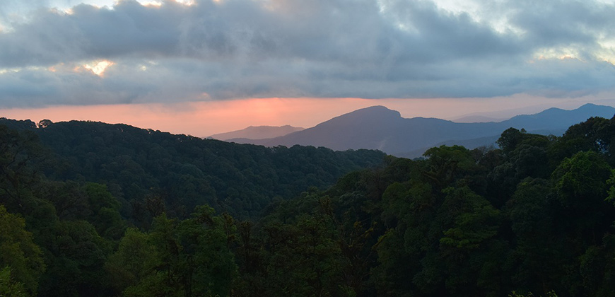 3 DAYS 2 NIGHTS TREK DOI INTHANON AREA